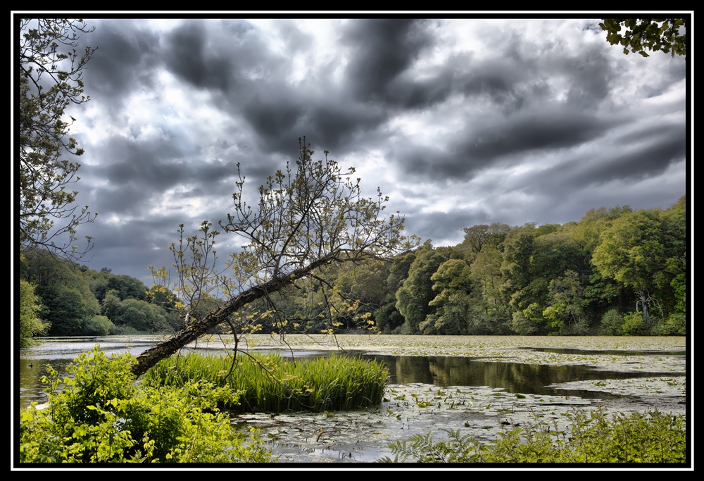 Scotland 2010   0143   Y    MG 6315 s